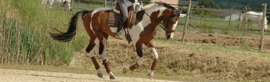 carrousel_vintage01